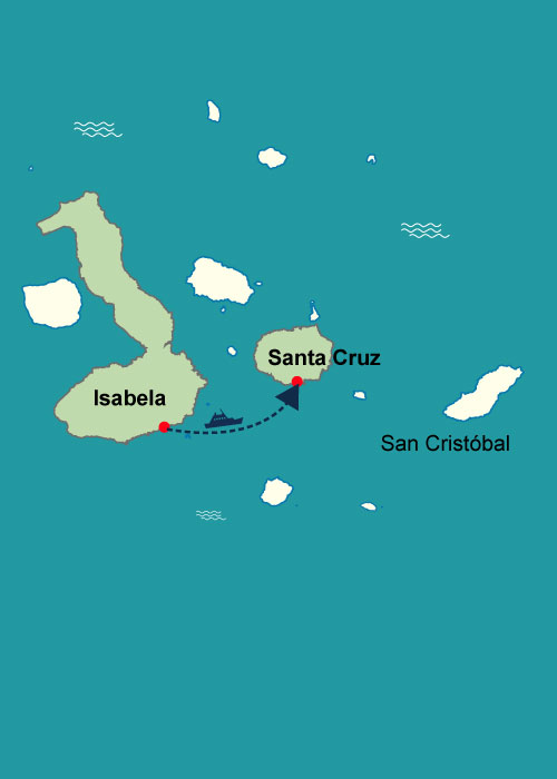 Isabela → Santa Cruz